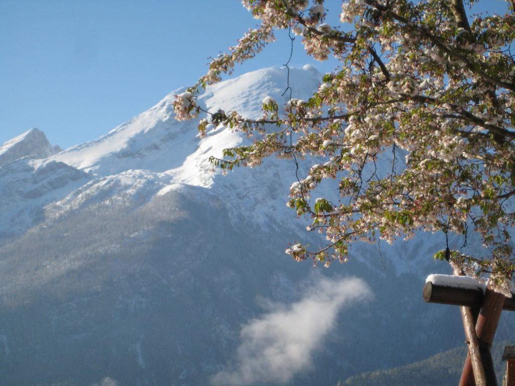 Hotel-Gasthof Nutzkaser Ramsau bei Berchtesgaden Bagian luar foto